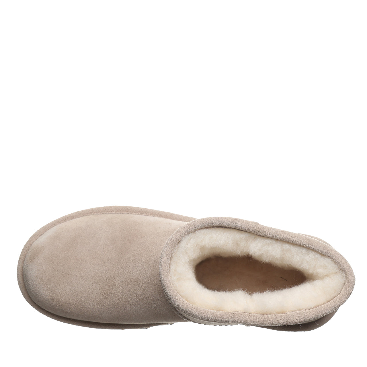 ALYSSA MUSHROOM - Image 5