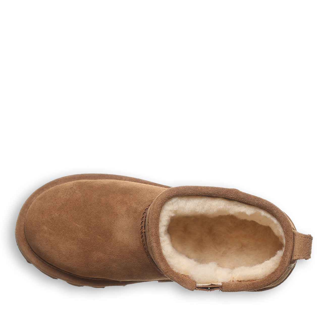 SHORTY YOUTH HICKORY - Image 5